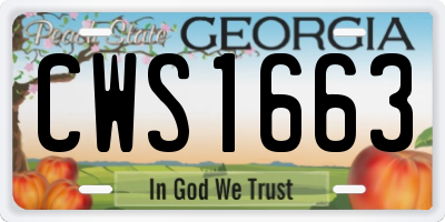 GA license plate CWS1663