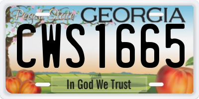 GA license plate CWS1665