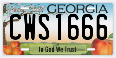 GA license plate CWS1666