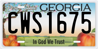 GA license plate CWS1675