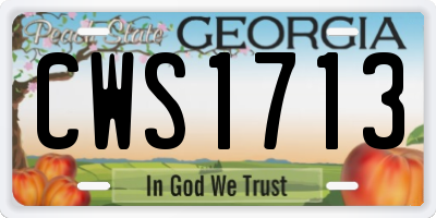 GA license plate CWS1713