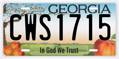 GA license plate CWS1715