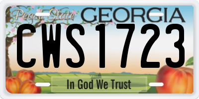 GA license plate CWS1723