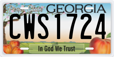 GA license plate CWS1724