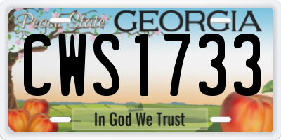 GA license plate CWS1733