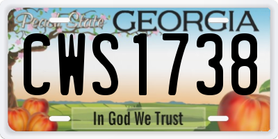 GA license plate CWS1738