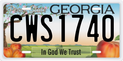 GA license plate CWS1740