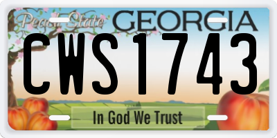 GA license plate CWS1743