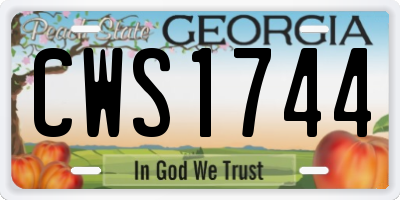 GA license plate CWS1744