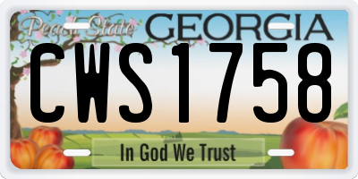 GA license plate CWS1758