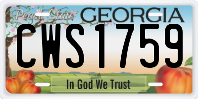 GA license plate CWS1759