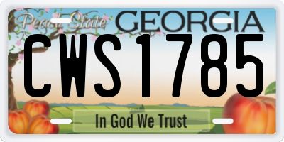 GA license plate CWS1785