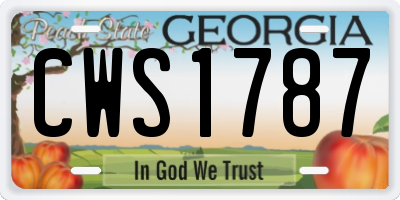 GA license plate CWS1787
