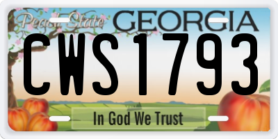 GA license plate CWS1793