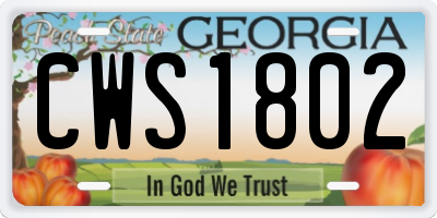 GA license plate CWS1802
