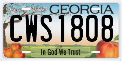 GA license plate CWS1808