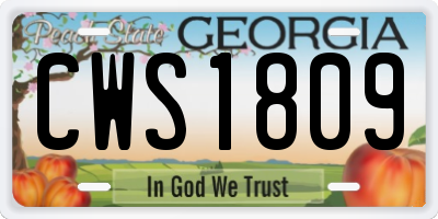 GA license plate CWS1809