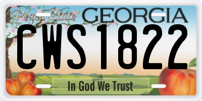 GA license plate CWS1822
