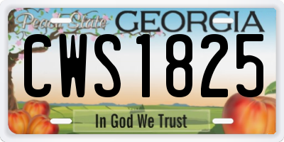 GA license plate CWS1825