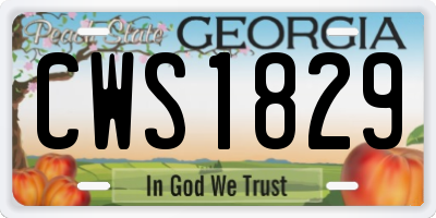 GA license plate CWS1829