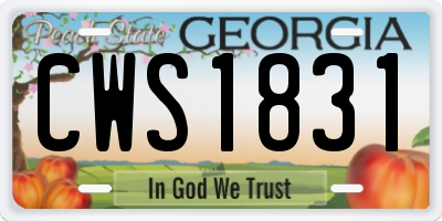GA license plate CWS1831
