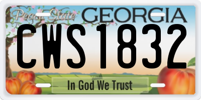 GA license plate CWS1832