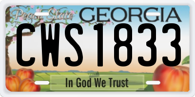 GA license plate CWS1833