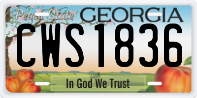 GA license plate CWS1836