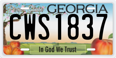 GA license plate CWS1837