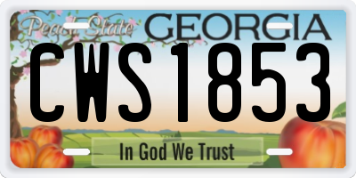 GA license plate CWS1853