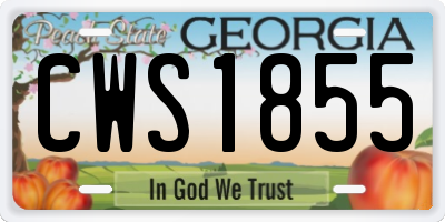 GA license plate CWS1855
