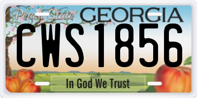 GA license plate CWS1856