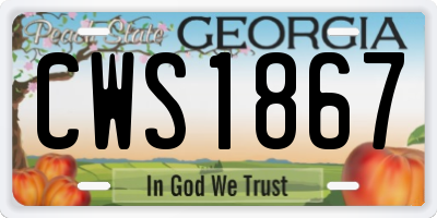 GA license plate CWS1867