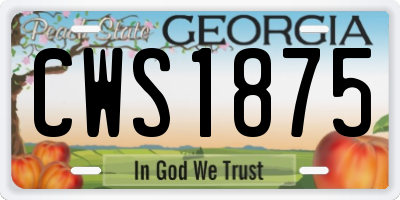 GA license plate CWS1875