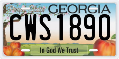 GA license plate CWS1890
