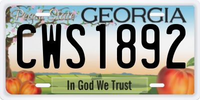 GA license plate CWS1892