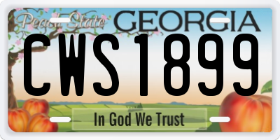 GA license plate CWS1899