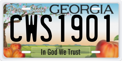 GA license plate CWS1901