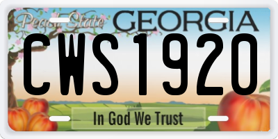 GA license plate CWS1920