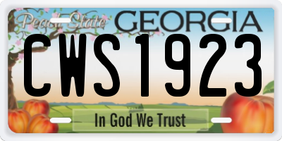 GA license plate CWS1923