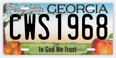 GA license plate CWS1968