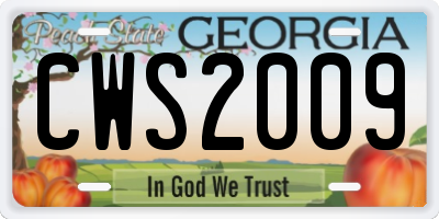 GA license plate CWS2009