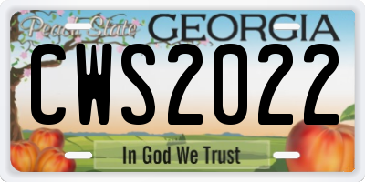 GA license plate CWS2022