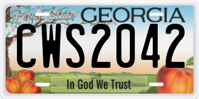 GA license plate CWS2042
