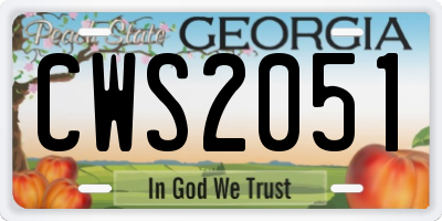 GA license plate CWS2051