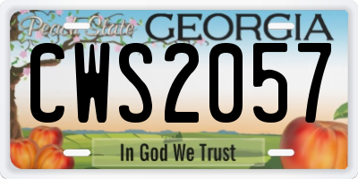 GA license plate CWS2057