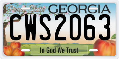 GA license plate CWS2063