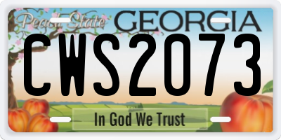 GA license plate CWS2073