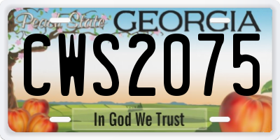 GA license plate CWS2075