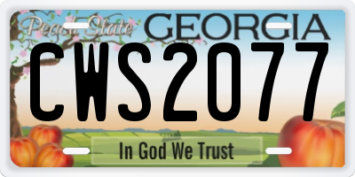 GA license plate CWS2077